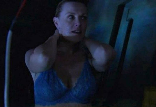 Amanda Tapping nude. Photo - 13