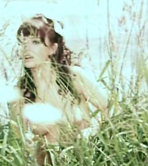 Barbara Capell nude. Photo - 13