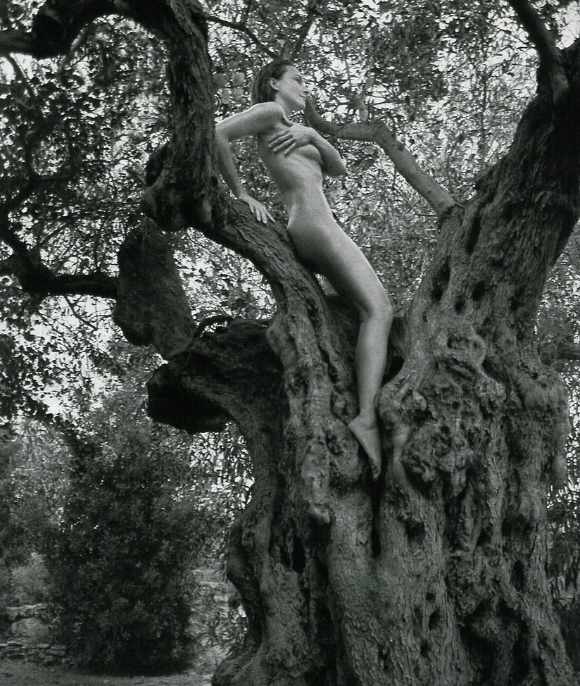 Caroline Beil nude. Photo - 1