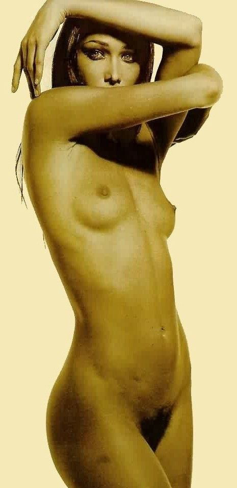 Carla Bruni nude. Photo - 14