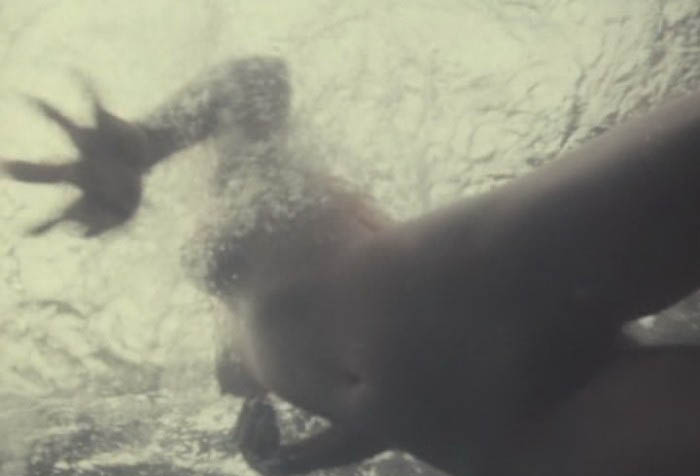 Aleksandra Kolkunova nude. Photo - 4