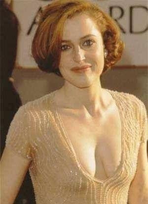 Gillian Anderson nude. Photo - 6