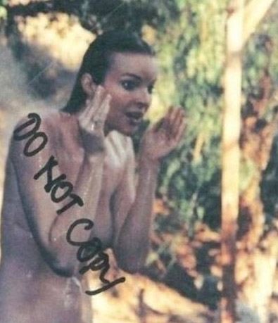 Marcia Cross nude. Photo - 92